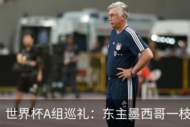 世界杯A组巡礼：东主墨西哥一枝独秀 韩国有望突破历史