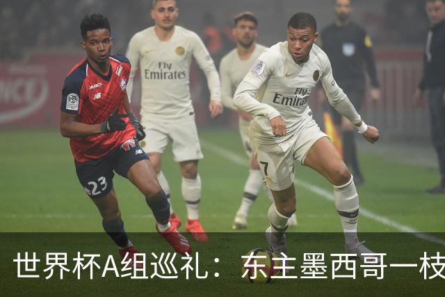 世界杯A组巡礼：东主墨西哥一枝独秀 韩国有望突破历史