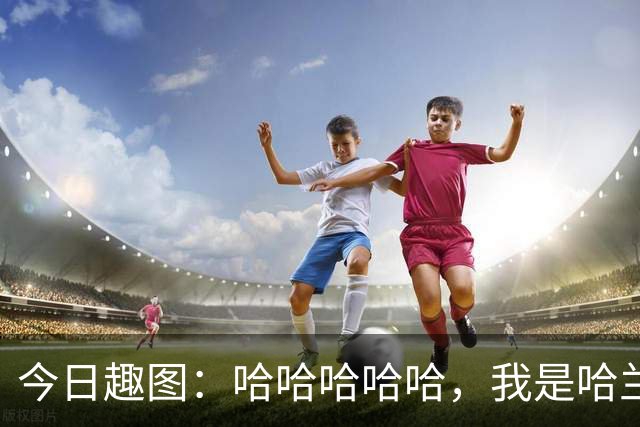 今日趣图：哈哈哈哈哈，我是哈兰德，进世界杯8强啦！