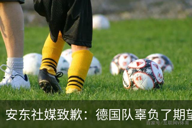 安东社媒致歉：德国队辜负了期望 球迷们完全有理由失望和愤怒