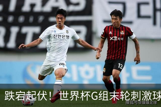 跌宕起伏！世界杯G组末轮刺激球迷心脏 伊朗狂喜过后遭打击